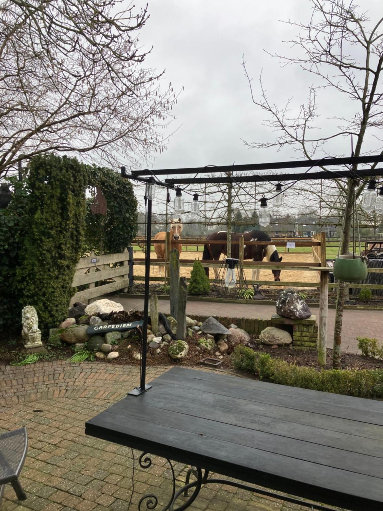 Carpe Diem Nijverdal Extérieur photo